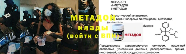 индика Карпинск