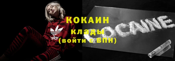 дмт Киреевск