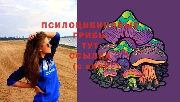 дмт Киреевск