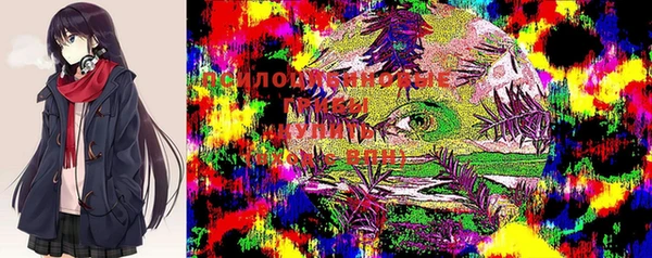 дживик Кодинск